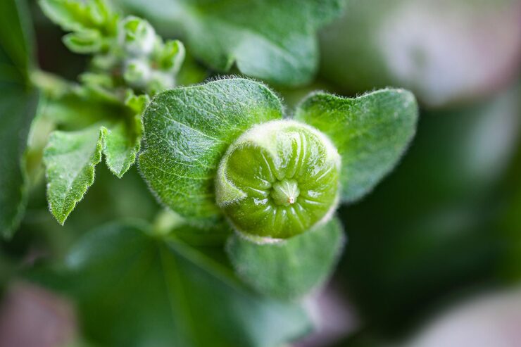 Clever Zoflora tip for an easier spring clean